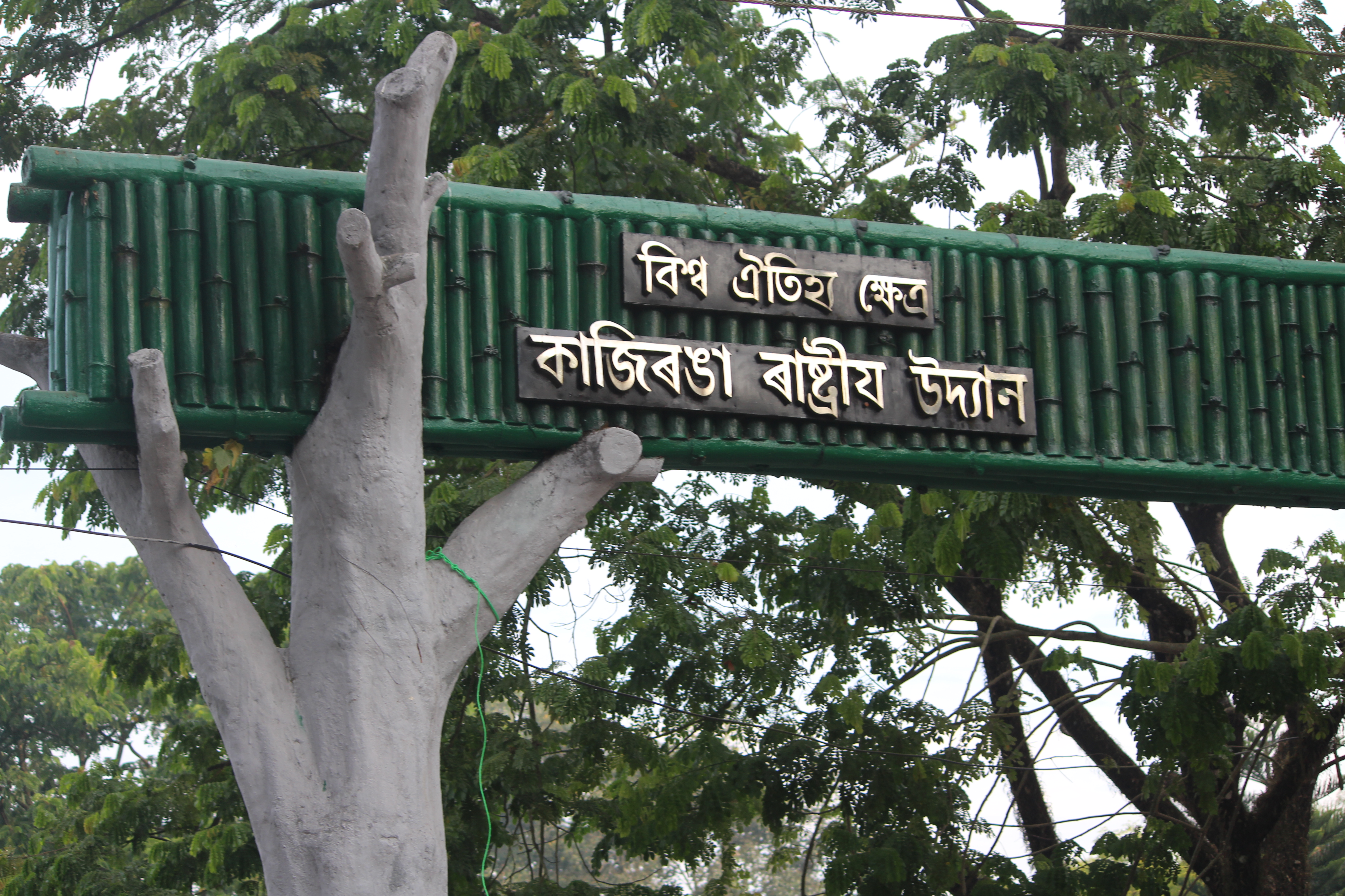 Kaziranga Entry Gate