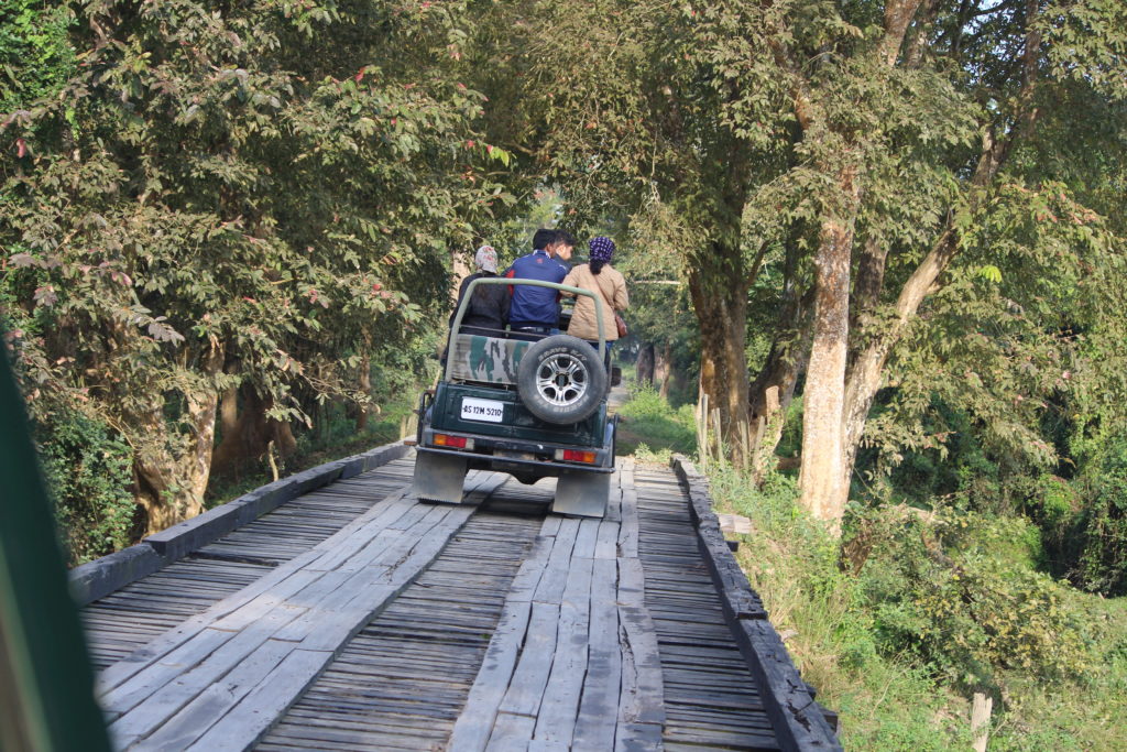 Jeep Safari In Kaziranga